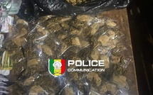 Coup de filet à Kédougou : plus de 2 000 comprimés de Tramadol et du Kush saisis