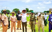 Journée de l'Arbre à Tambacounda : le Ministre Alpha Thiam sonne la révolte contre le « massacre » de nos forêts !