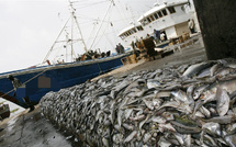 Licences de pêche industrielle : le Parlement sénégalais lance une enquête sur leur attribution