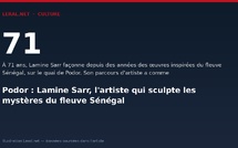Podor : Lamine Sarr, l'artiste qui sculpte les mystères du fleuve Sénégal
