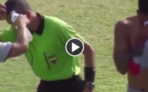 Vidéo insolite : Une attaque d'abeilles interrompt un match de foot en Equateur