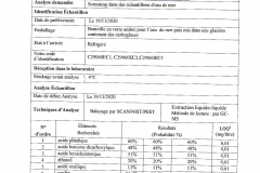 Résultats analyse eau de mer_Gendarmerie Environnement-page-006