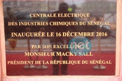 IMG_9917 (Medium).JPG